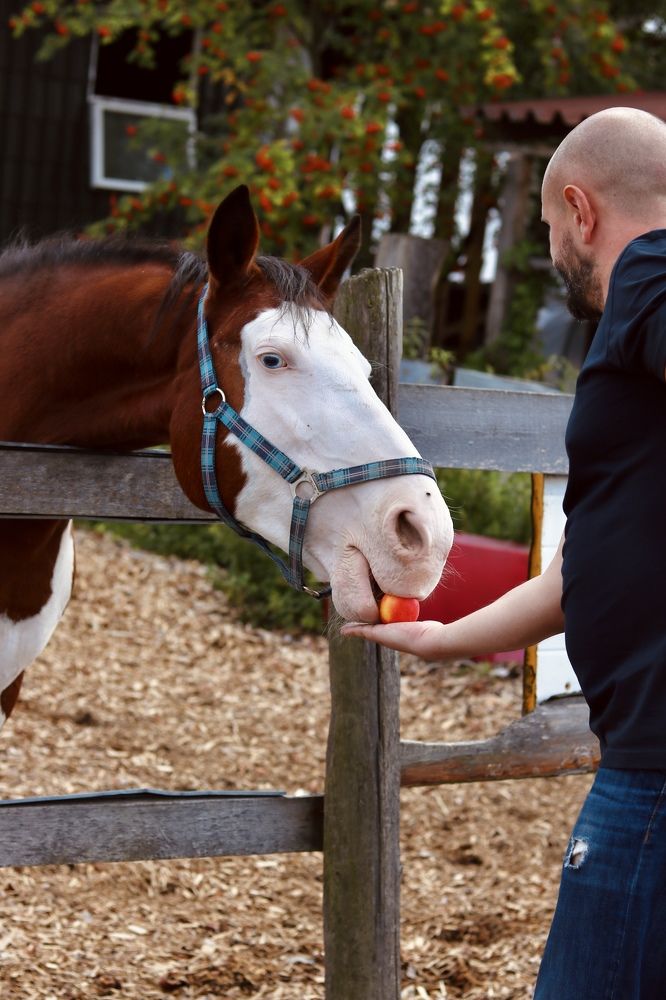 Photograph by Елена Ковалева