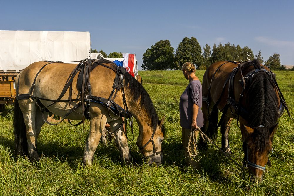 Photograph by Nikolai Barchan