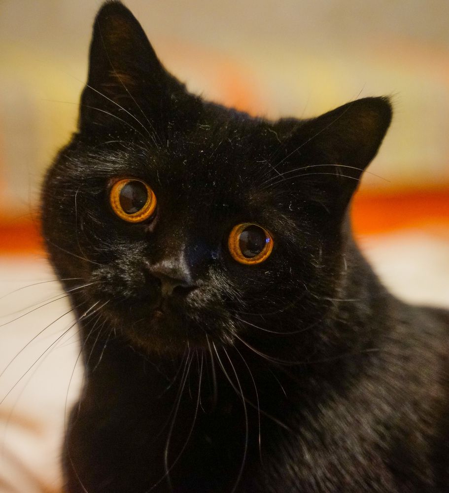 Photograph by Osvalds