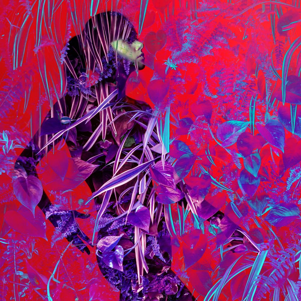 Фотография автора Refat Mamutov