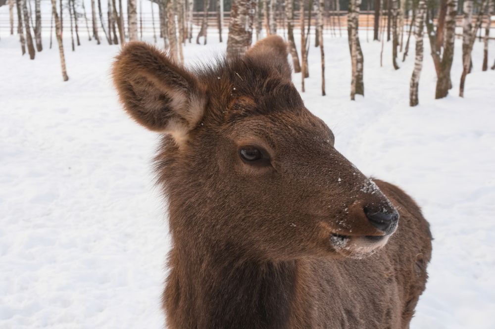 Photograph by DUBINA LEONID