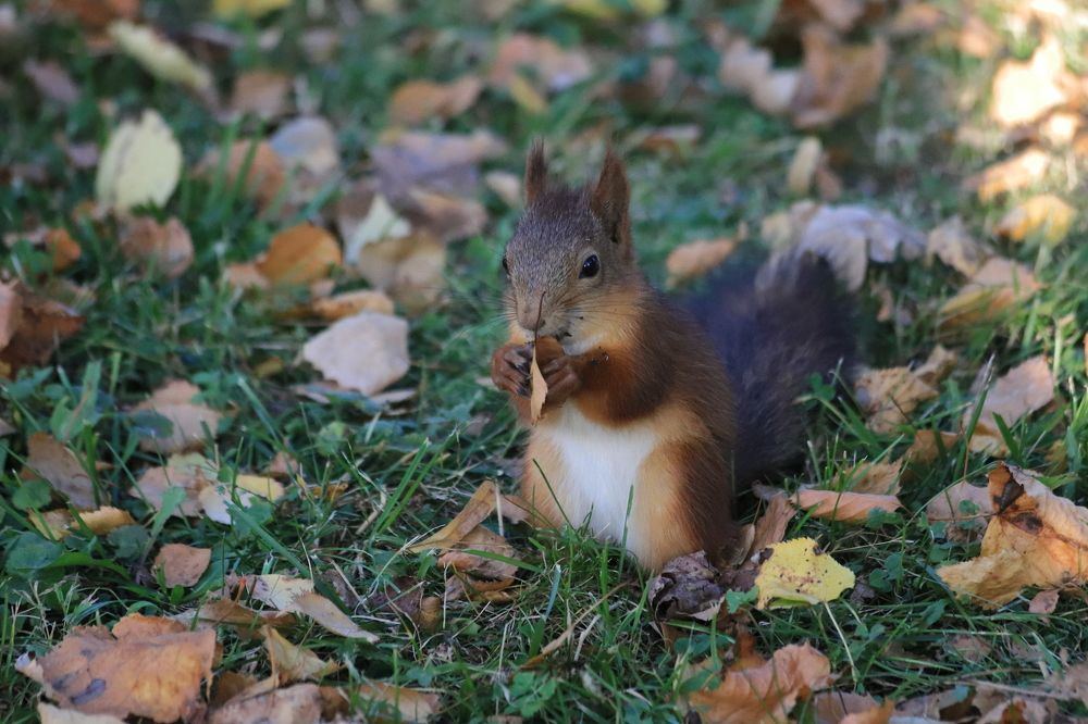 Photograph by DUBINA LEONID