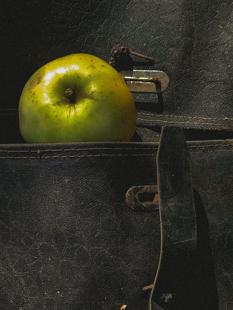 Photograph by Darya Kisnyarkina