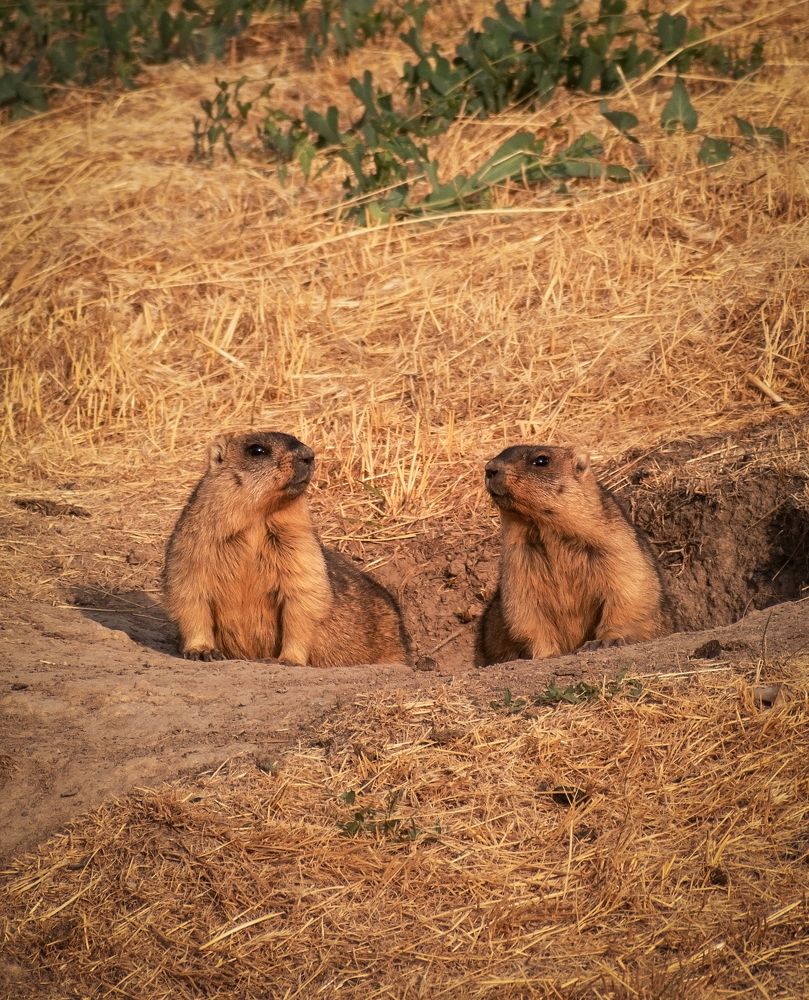 Photograph by Юлия Страданченкова