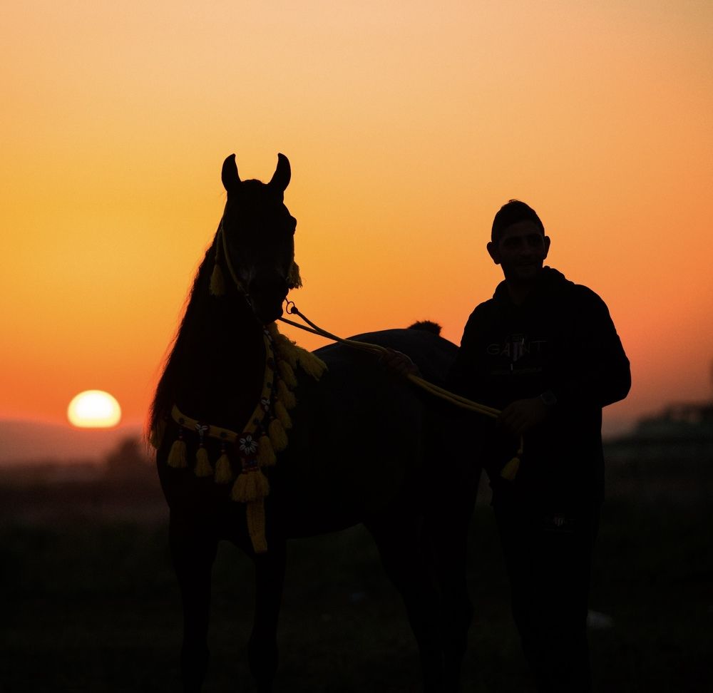 Фотография автора Mohammed sajd Abo ganem