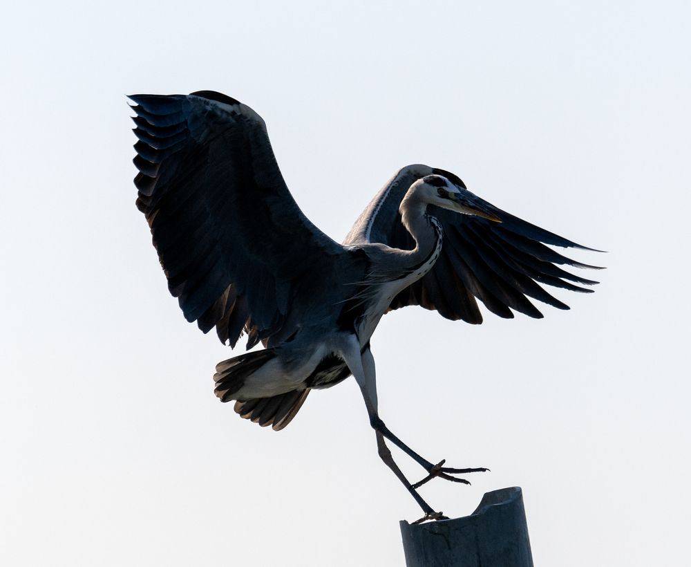 Фотография автора Mohammed sajd Abo ganem