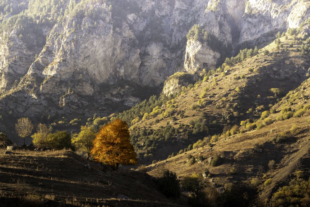 Фотография автора Марина Лукьянова