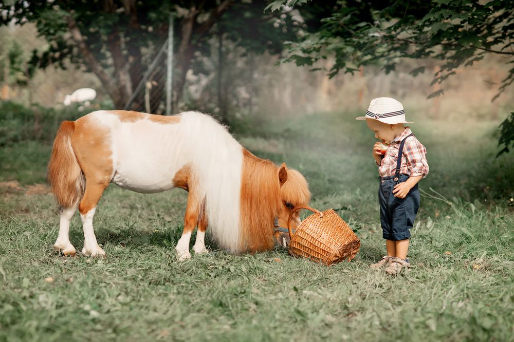 Photograph by Валентина Ермилова