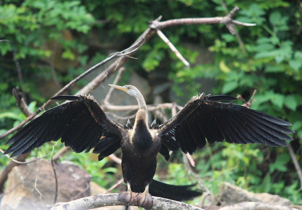 Photograph by Chandrahas Kurane