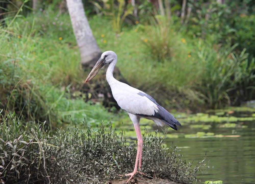 Photograph by Chandrahas Kurane