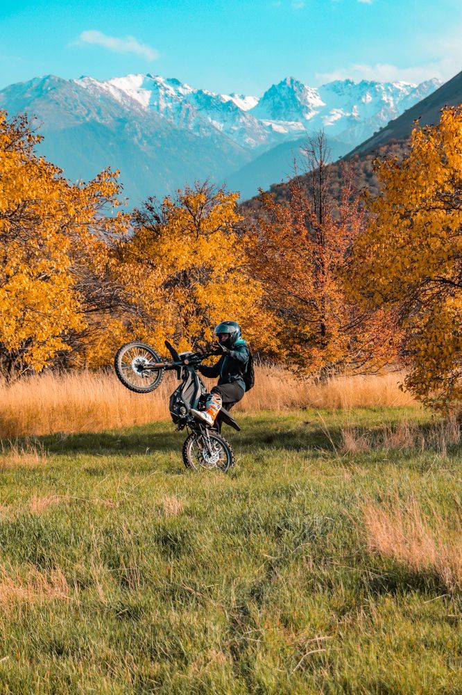 Фотография автора X Fedeeng