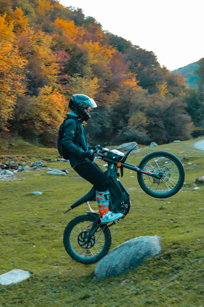 Фотография автора X Fedeeng