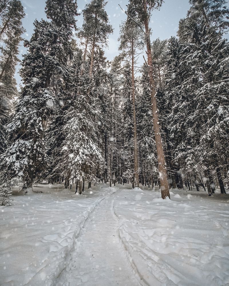 Photograph by Люда Яковлева