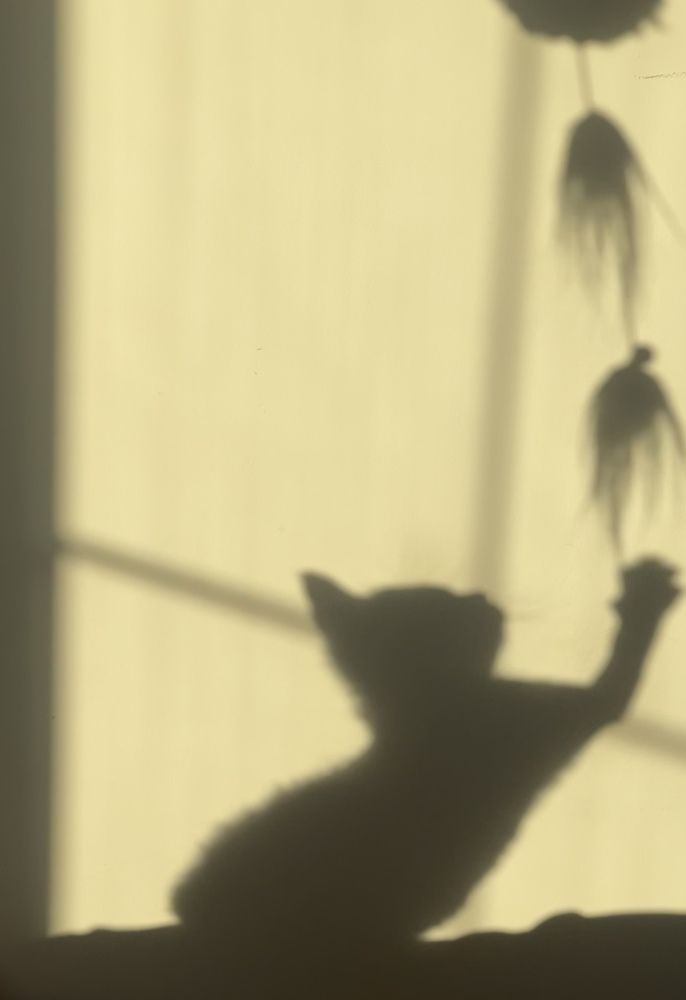 Photograph by Елена