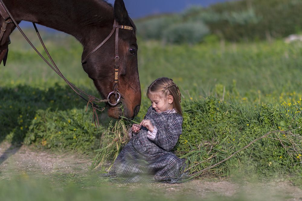 Photograph by Gabriella Halperin