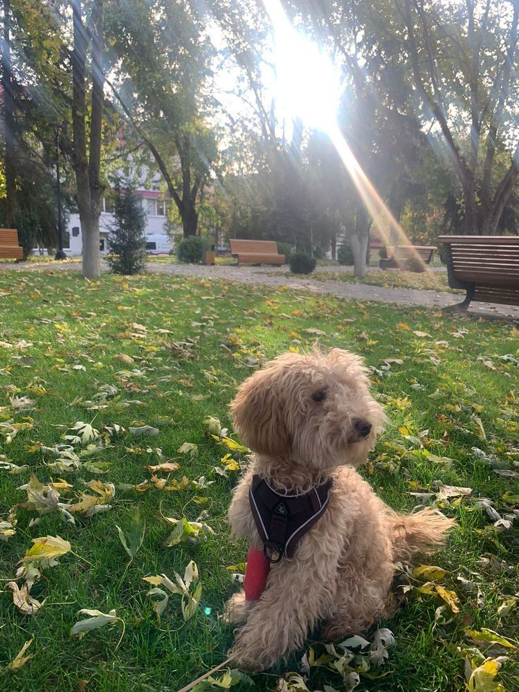 Photograph by Тася