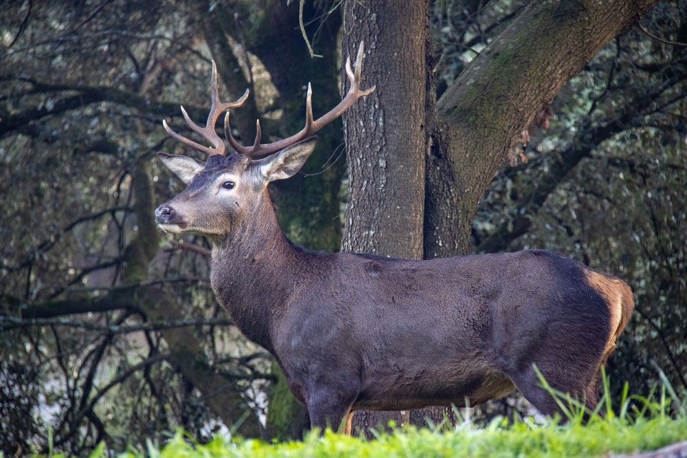 Фотография автора Алексей Головатый