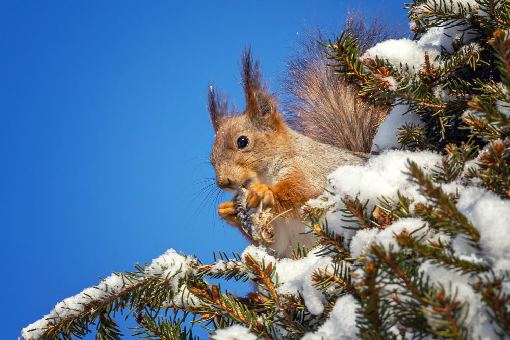 Photograph by Татьяна Тарасова