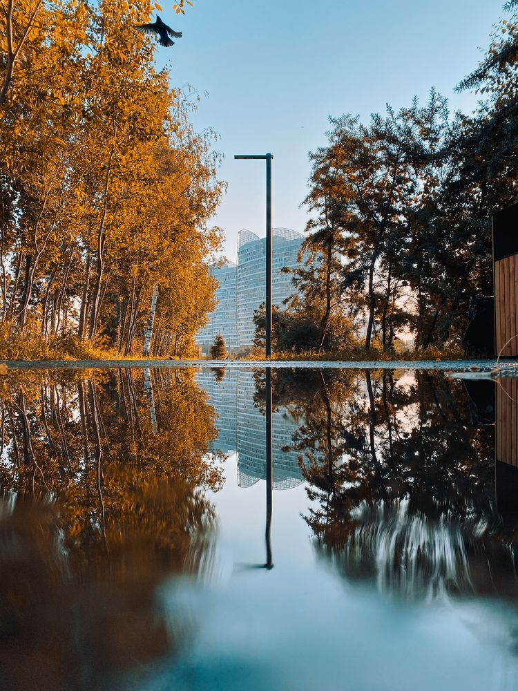 Photograph by Алия Крохалева