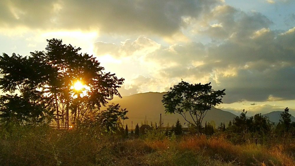 Photograph by Татьяна