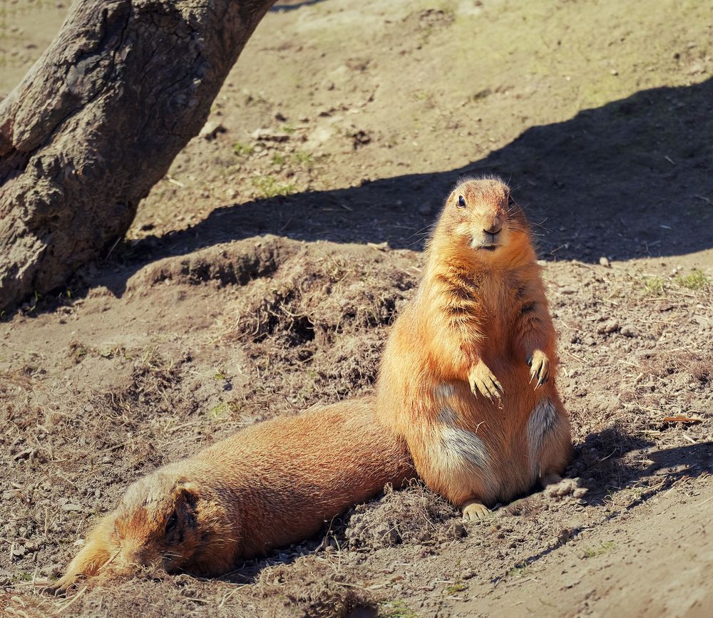 Photograph by Natalia Bolotenkova
