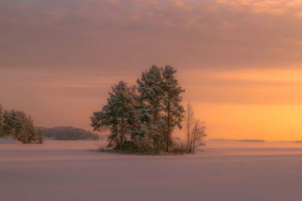 Photograph by Дмитрий Петухов