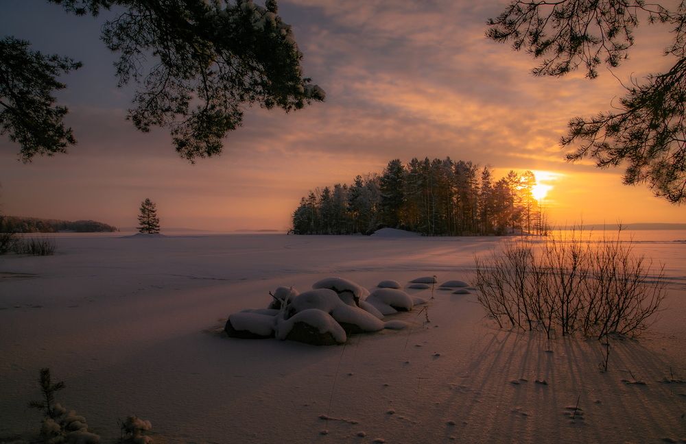 Photograph by Дмитрий Петухов