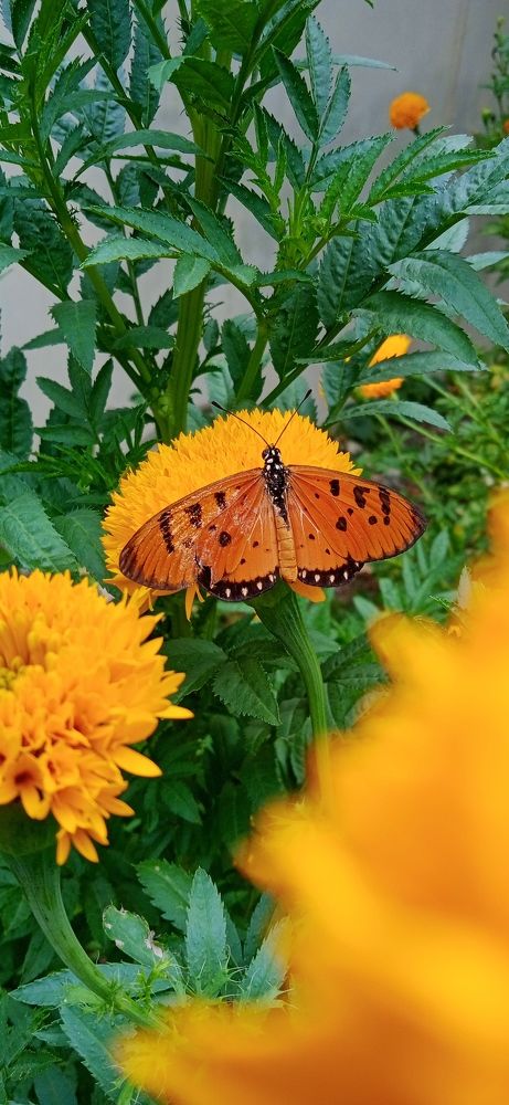 Photo #9963957