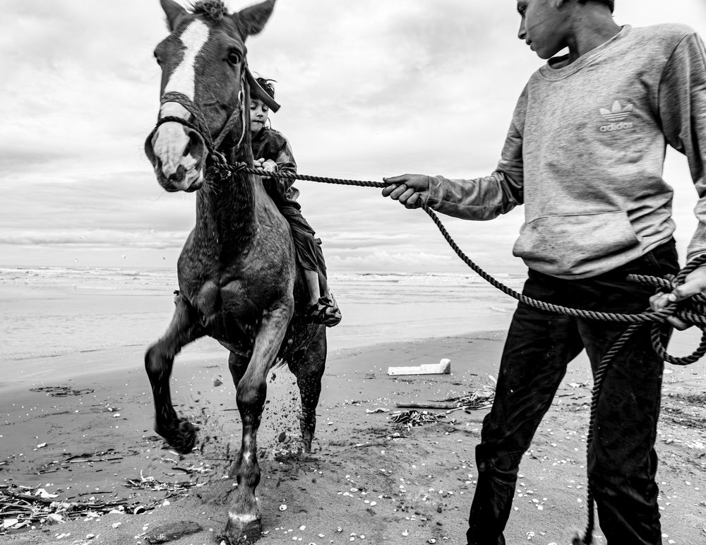 Photograph by seyed mostafa yousefi