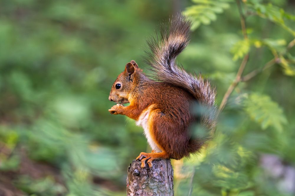 Фотография автора Наталья Василькова