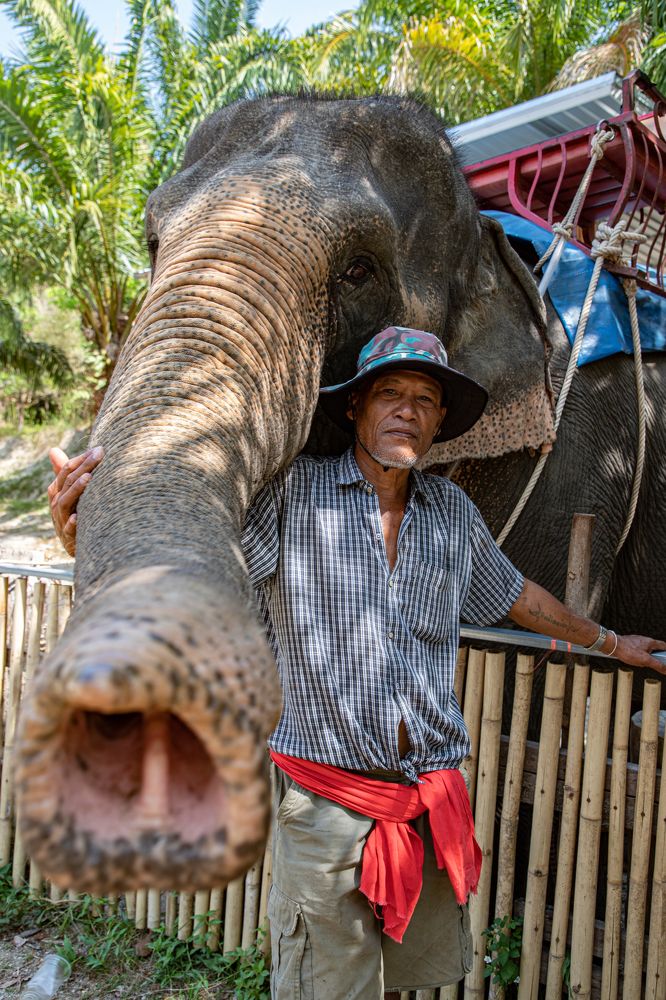 Фотография автора Юлия Костина