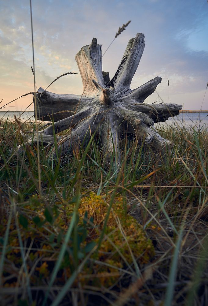 Photograph by Татьяна Машина