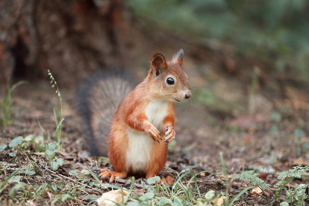 Фотография автора Александр Колдин