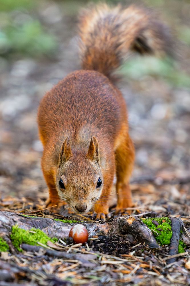 Фотография автора Наталья Василькова