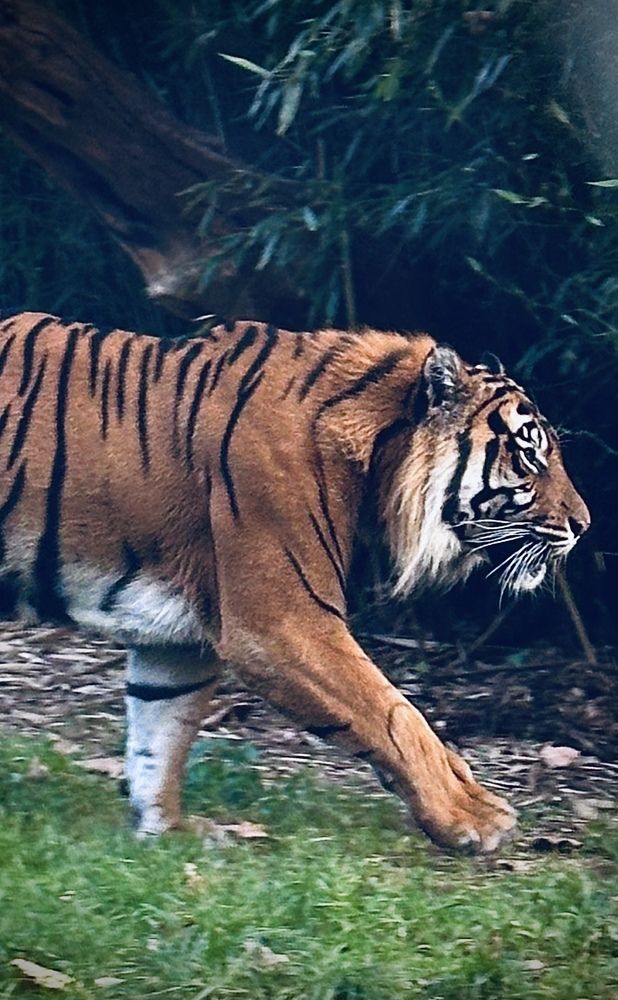 Photograph by Наумова Татьяна