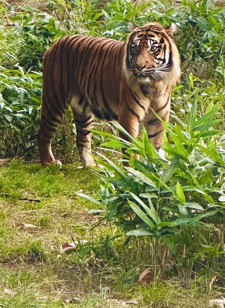 Photograph by Наумова Татьяна