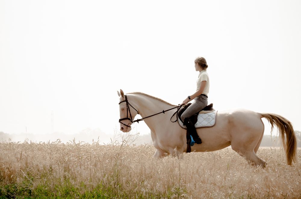 Photograph by Александр Шматков