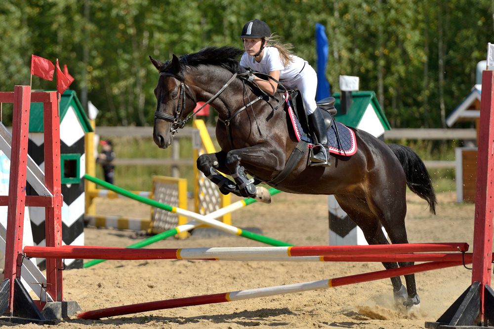 Фотография автора Владислав Храмцов