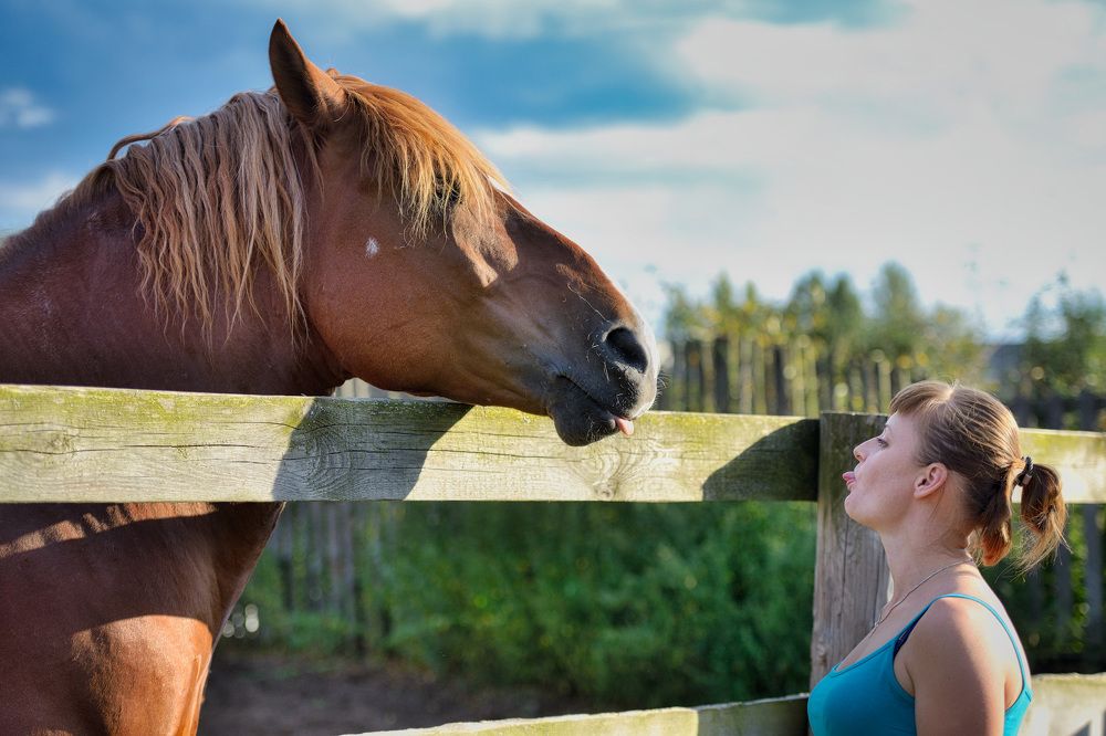 Фотография автора Владислав Храмцов