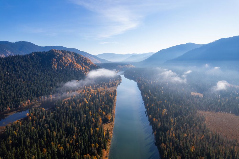 Туманное утро на таежной реке