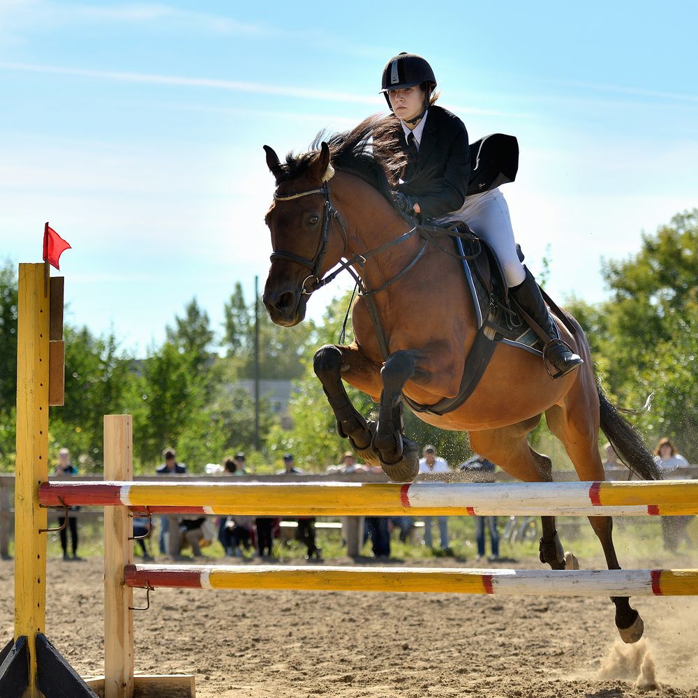 Фотография автора Владислав Храмцов
