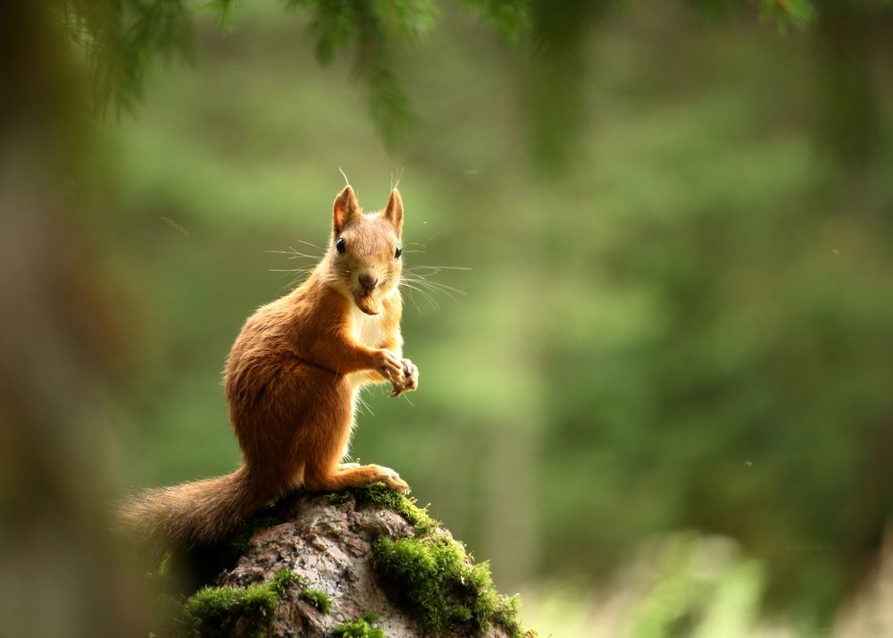 Photograph by Юлия Куликова