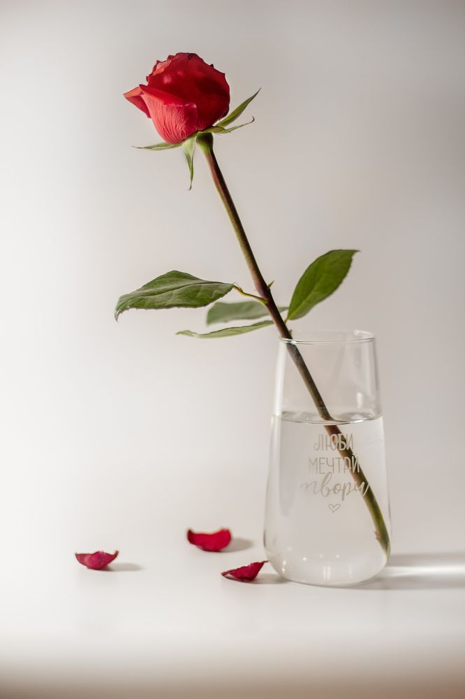 Фотография автора Анастасия Борская