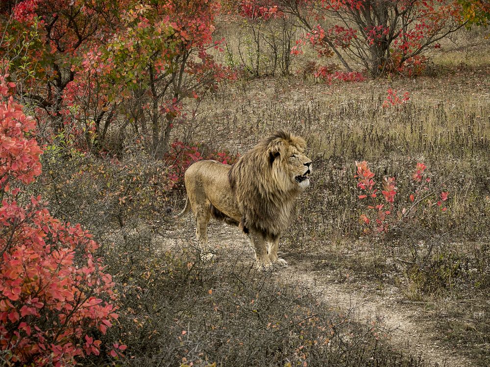 Photograph by Елена Ворошина