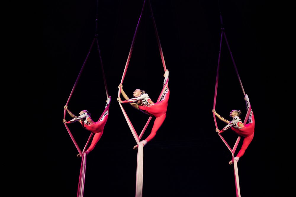 Photograph by Виктория Трач