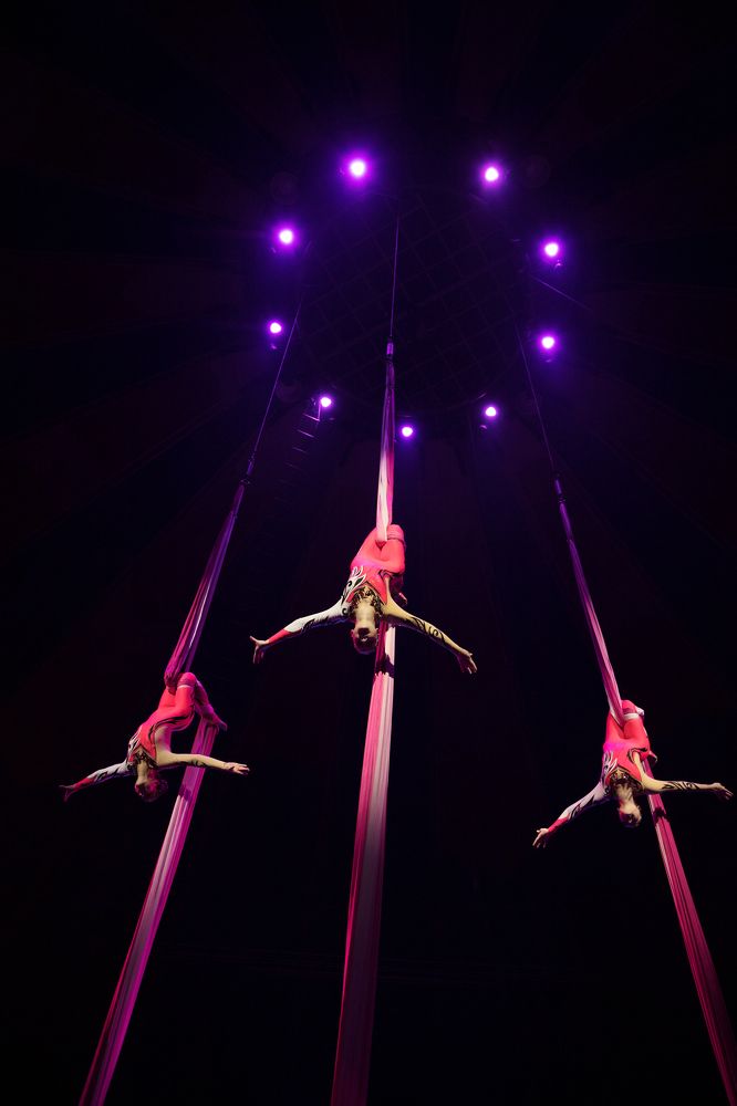 Photograph by Виктория Трач