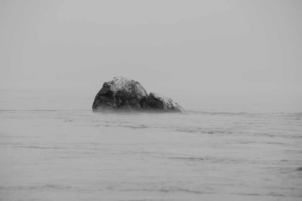 Photograph by Игорь Чебунин