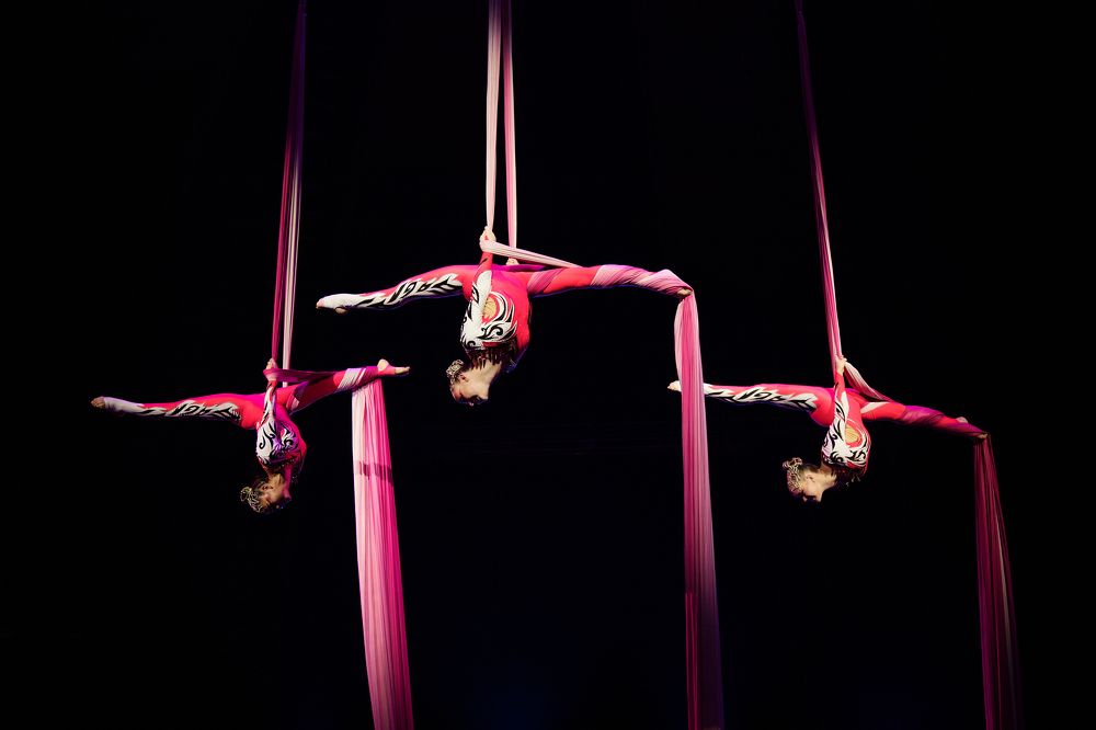 Photograph by Виктория Трач