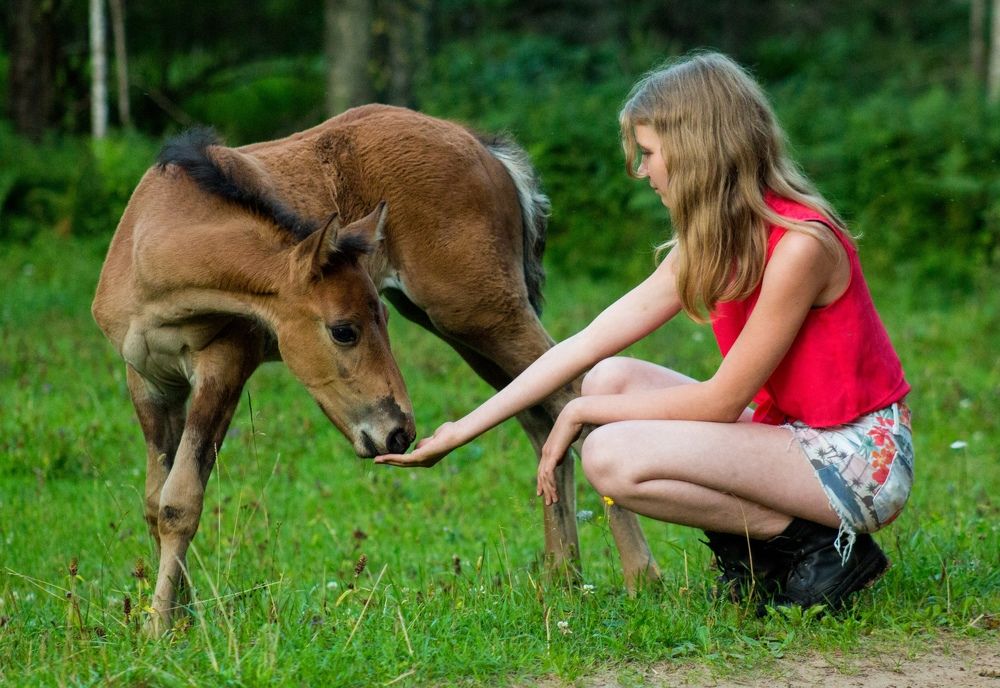 Photograph by Елена