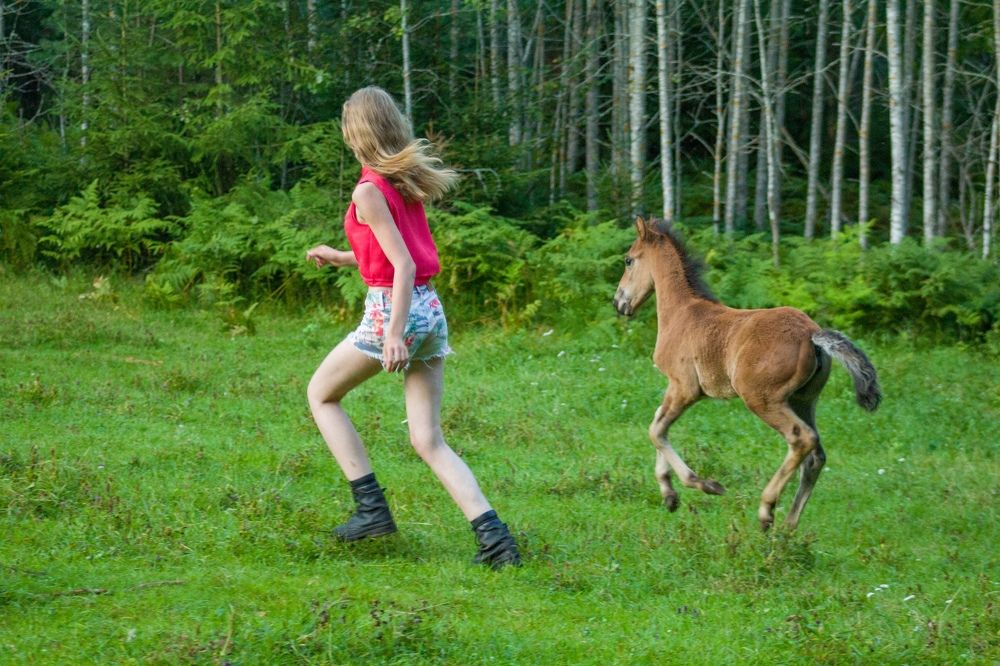 Photograph by Елена